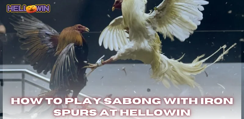 Sabong with Iron Spurs – The Science of Weaponized Cockfighting 3 how to play sabong with iron spurs at Hellowin
